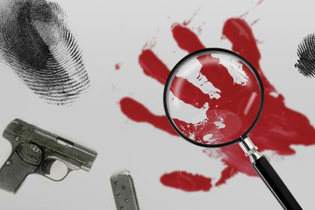 Případ vraždy školačky z Otína symbolizuje červený karafiát | foto: Andrew Price,  Flickr,  CC BY-NC-ND 2.0