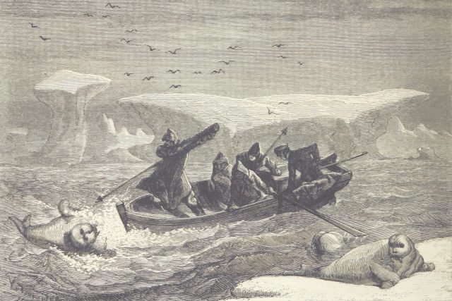 Polární expedice v 19. století | foto: Unsplash,  British Library,  Licence Unsplash