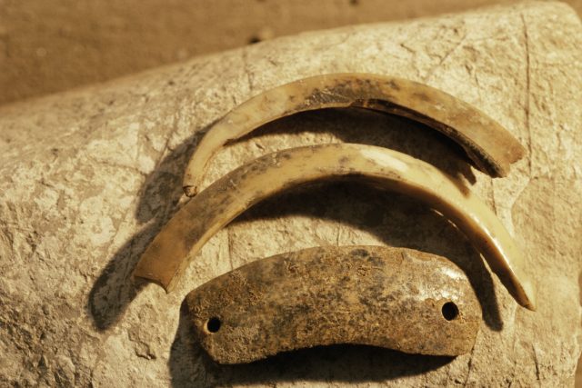 Kostra člověka,  doba bronzová | foto: Profimedia