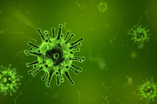 Jaký byl nejhorší virus v dějinách? | foto: Arek Socha,  Pixabay,  CC0 1.0