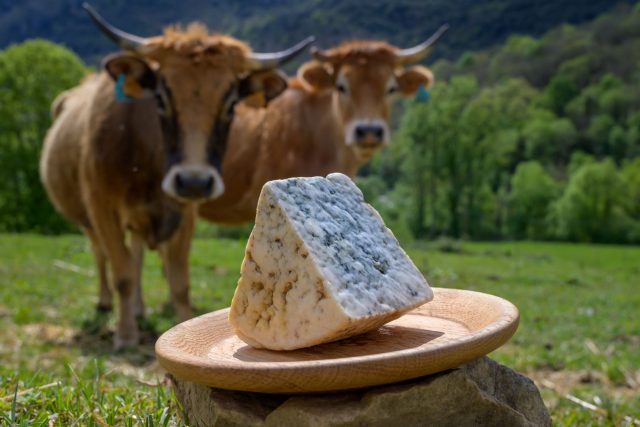 Modrý sýr cabrales | foto: Shutterstock