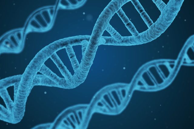 DNA - geny - genom | foto: Pixabay,  CC0 1.0