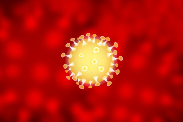 Koronavirus | foto: Fotobanka Pixabay