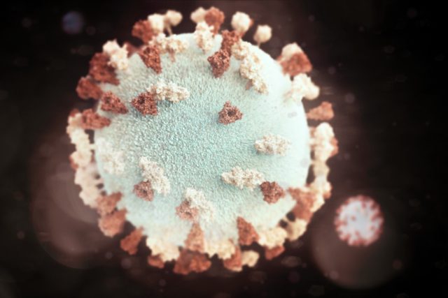 Virus | foto:  CDC,  Fotobanka Unsplash