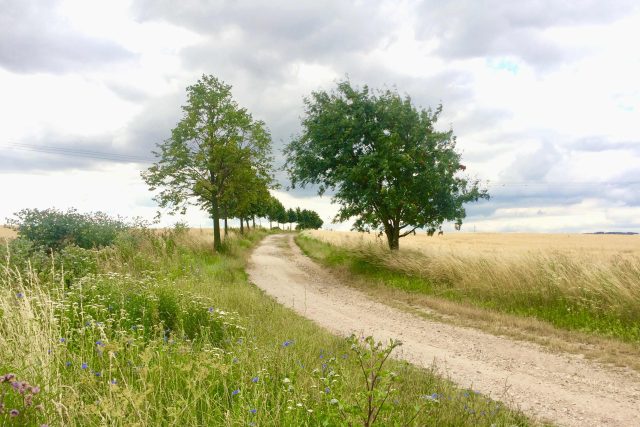 Poutní cesta z Vysokého Mýta do Knířova | foto: Šárka Rusnáková,  Český rozhlas