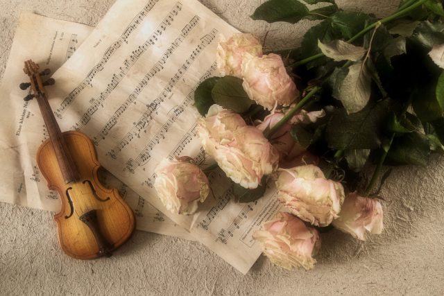 klasická hudba | foto:  Ylanite,  Fotobanka Pixabay