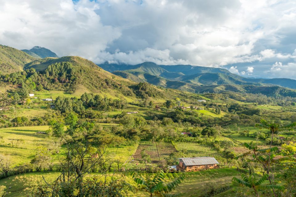 V Jižní Americe se často ztrácí propojení mezi částmi lesa,  mezi kterými zemědělci zřídili pastvinu | foto: Miloň Kašpar