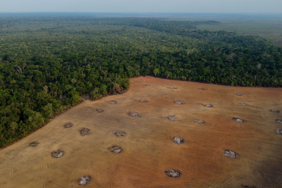 Odlesňování Amazonského pralesa | foto: Profimedia