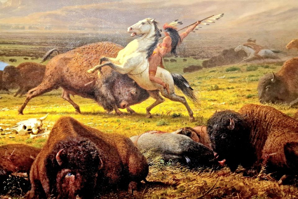 Obraz z muzea připomínající vyhlazení bizonů | foto: Dagmar Heřtová,  Český rozhlas
