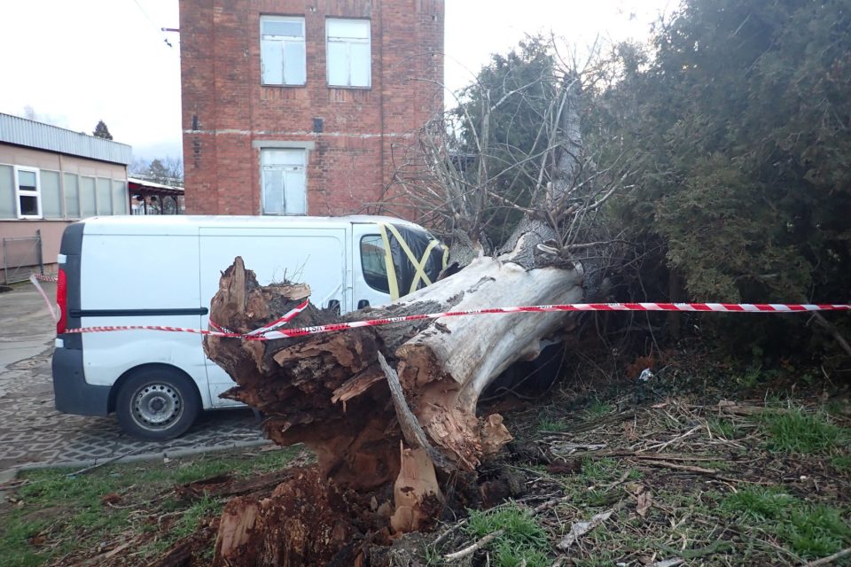 V souvislosti s větrným počasí zasahovali hasiči na náměstí T. G. Masaryka ve Zlíně,  kde vzrostlý strom spadl na zaparkovanou dodávku. | foto: HZS Zlínského kraje,  ČTK